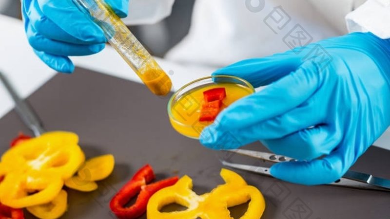 广州传统桃酥饼干的配方揭秘：传统工艺与现代标准的融合